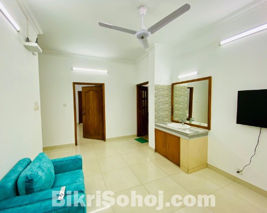 Luxury 3BHK Fully Furnished Apartment for Rent
